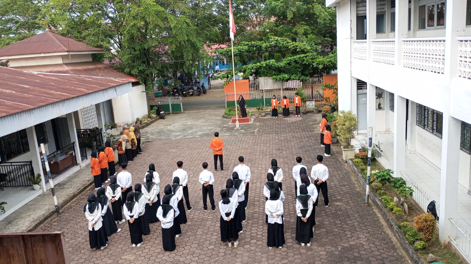 Video Image